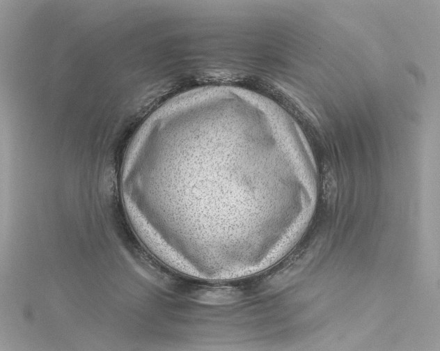 X0000115150459200911171244