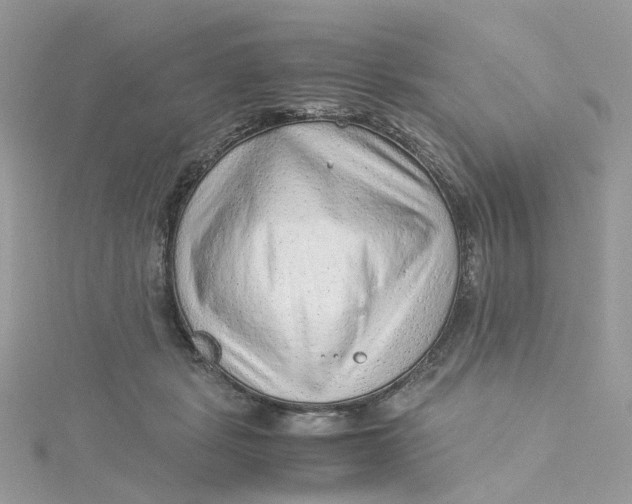 X0000115150461200911171244