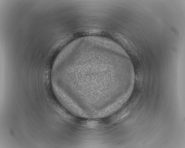 X0000115150462200911171244