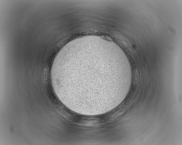 X0000115150463200911171244