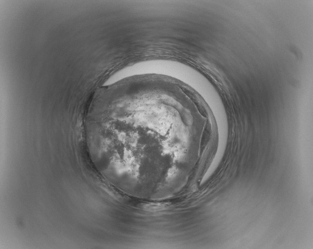 X0000115150465200911171244