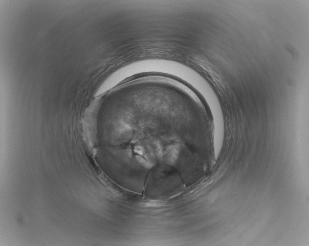 X0000115150467200911171244