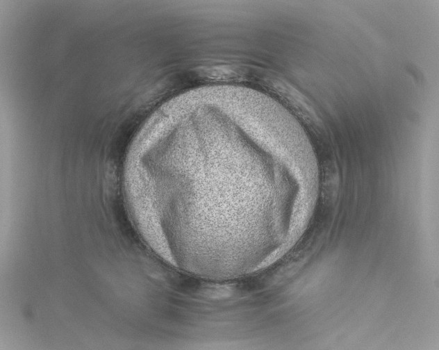 X0000115150469200911171244