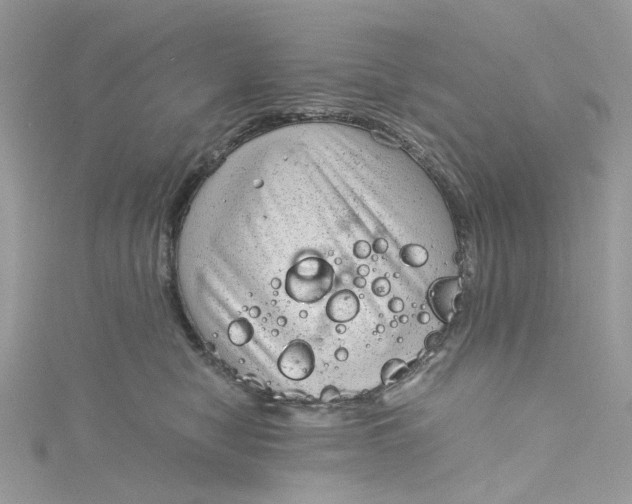 X0000115150470200911171244