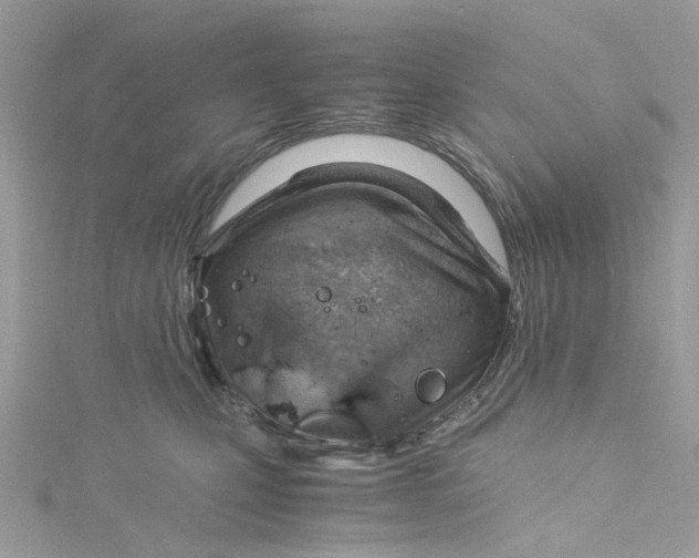 X0000115150471200911171244