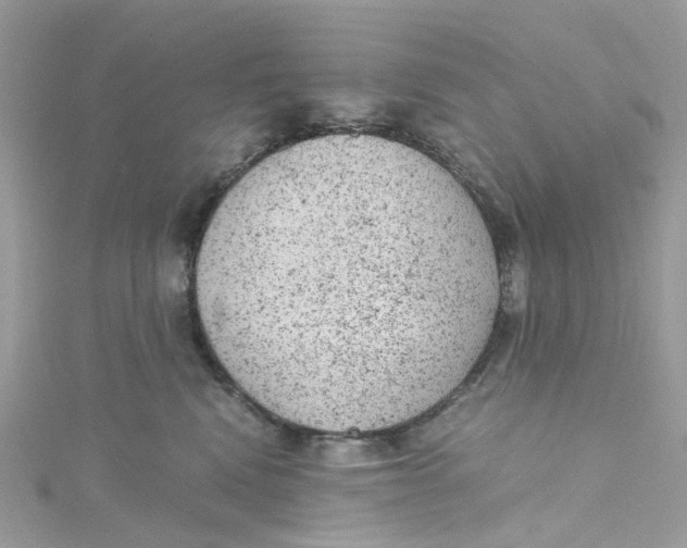 X0000115150472200911171244