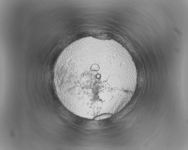 X0000115150473200911171244