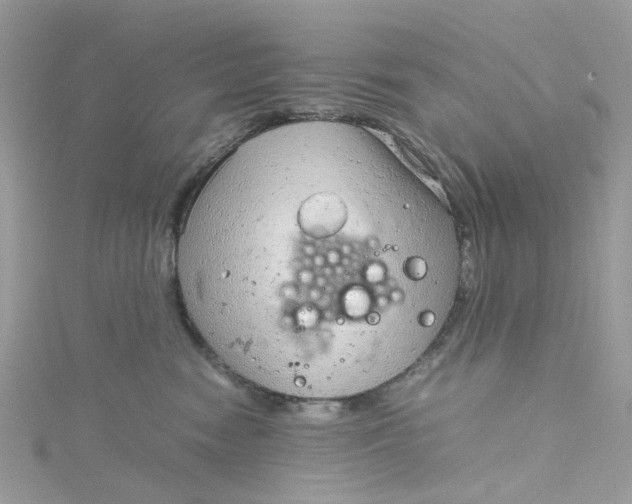 X0000115150474200911171244