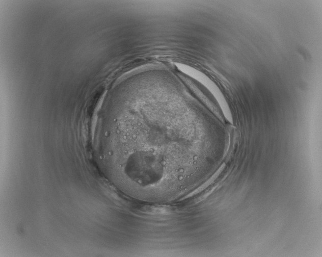 X0000115150475200911171244