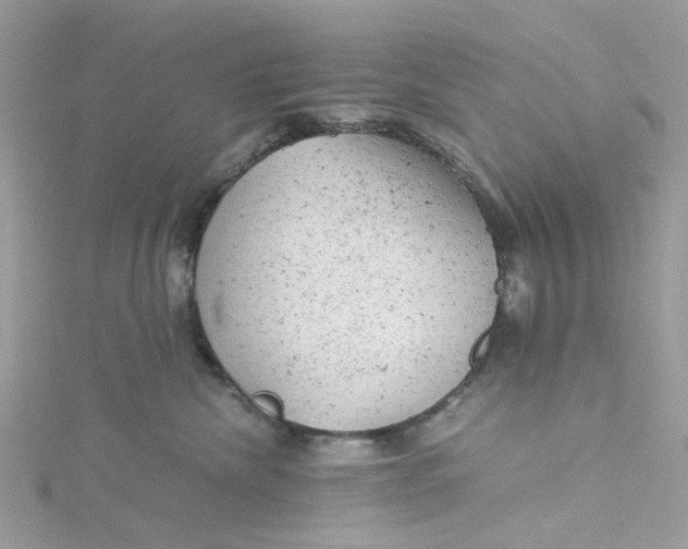 X0000115150476200911171244