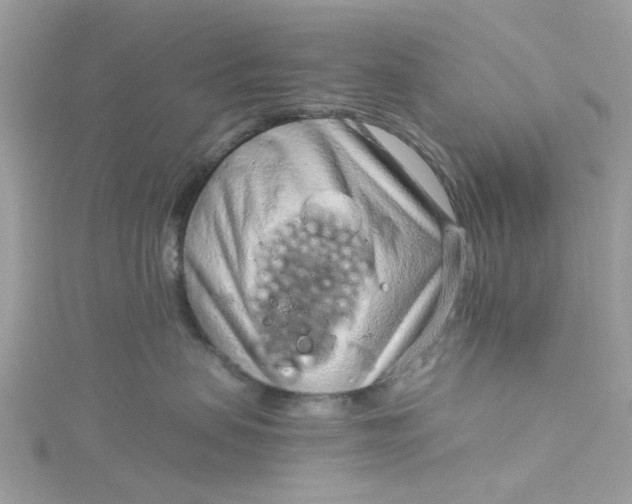 X0000115150479200911171244