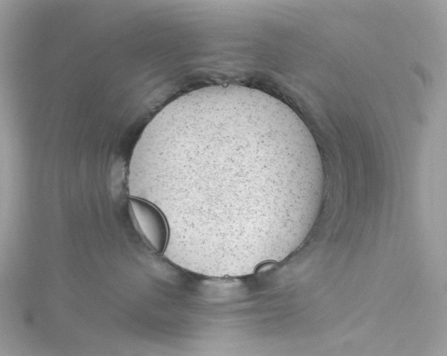 X0000115150480200911171244