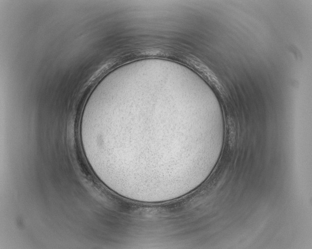 X0000115150482200911171244