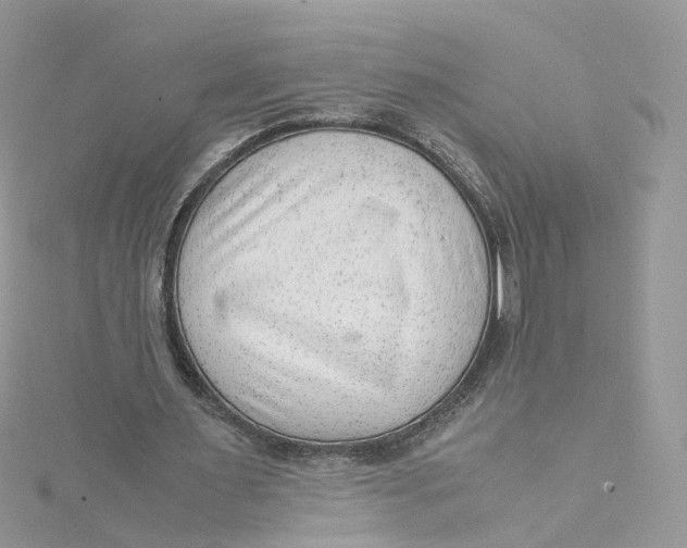 X0000115150483200911171244