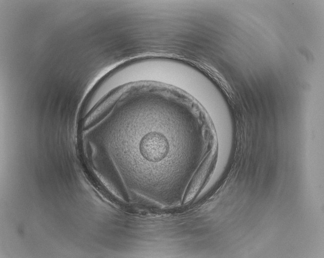 X0000115150484200911171244