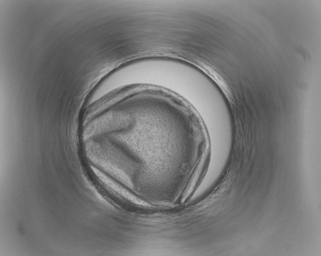 X0000115150485200911171244