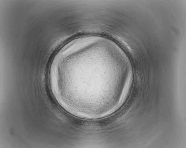 X0000115150487200911171244