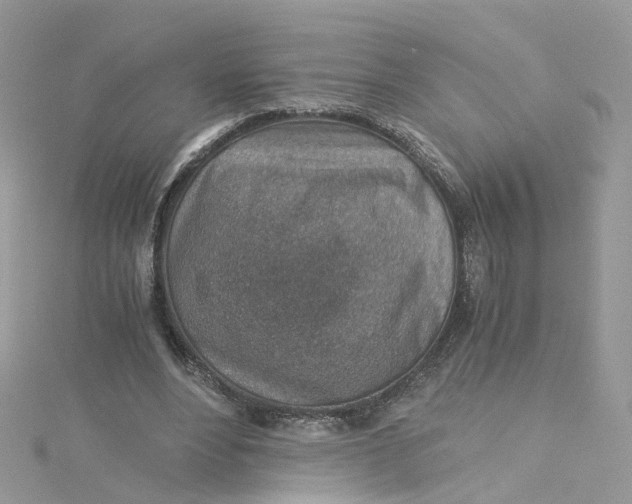 X0000115150488200911171244