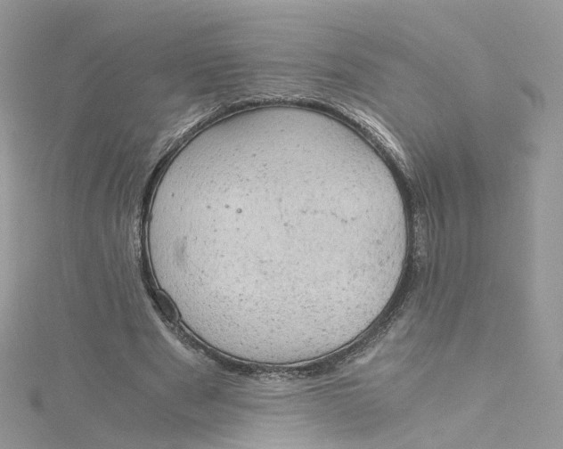 X0000115150489200911171244