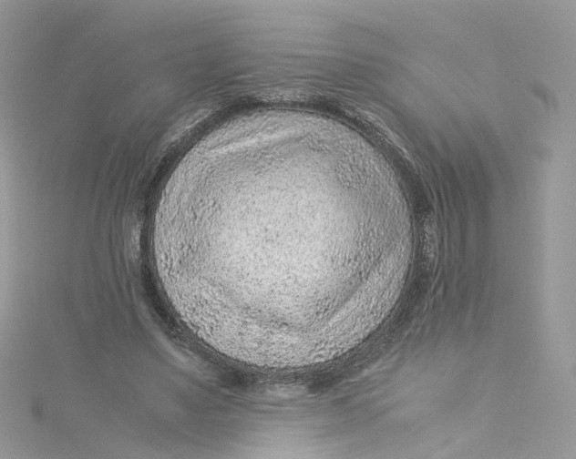 X0000115150491200911171244