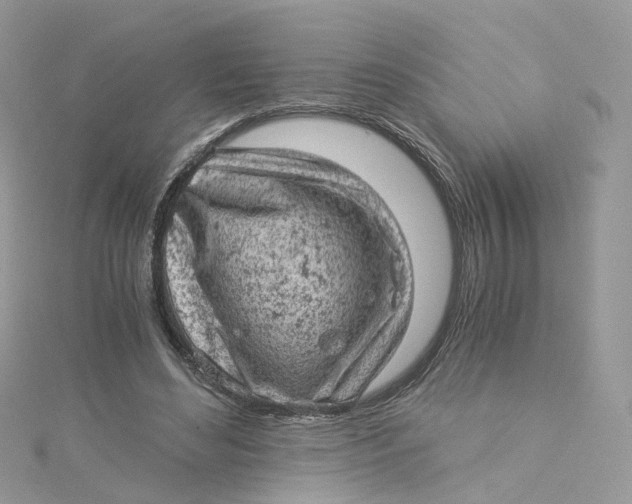 X0000115150492200911171244