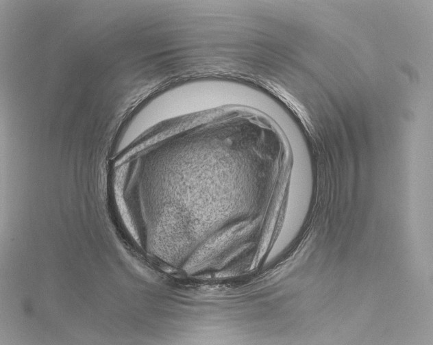 X0000115150493200911171244