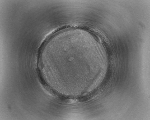 X0000115150496200911171244