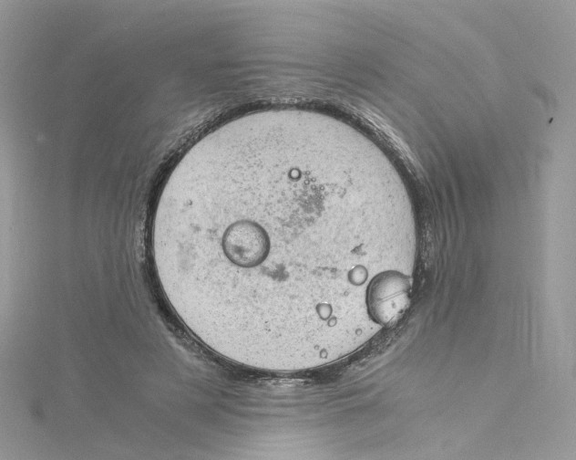 X0000115150497200911171244