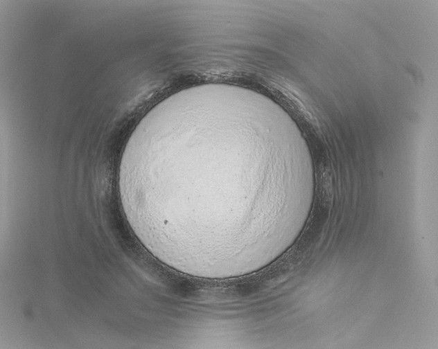 X0000115150499200911171244