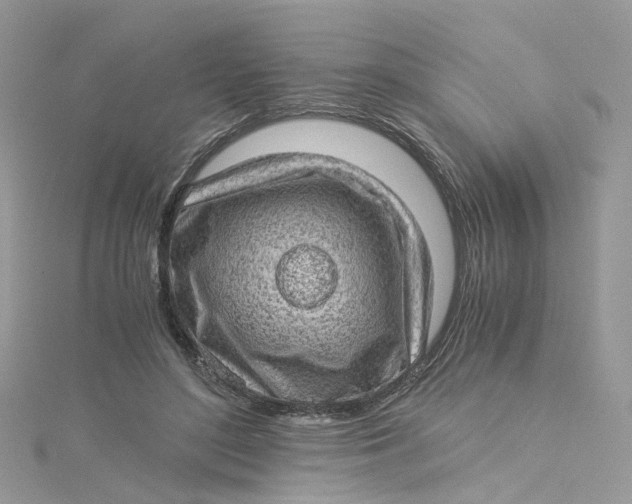 X0000115150500200911171244