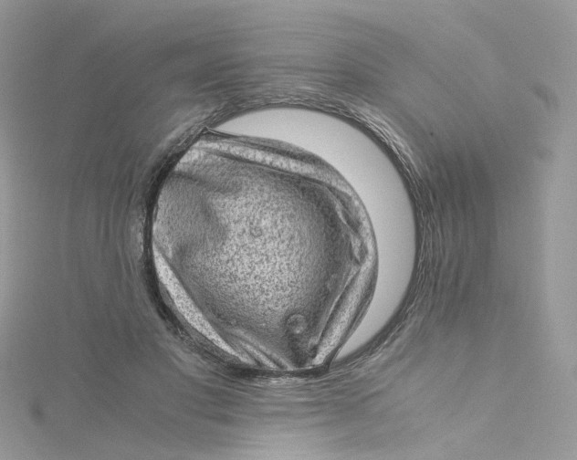 X0000115150501200911171244