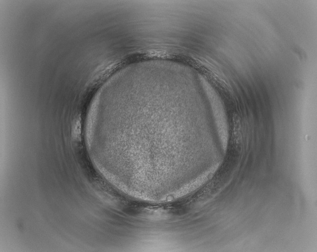 X0000115150502200911171244