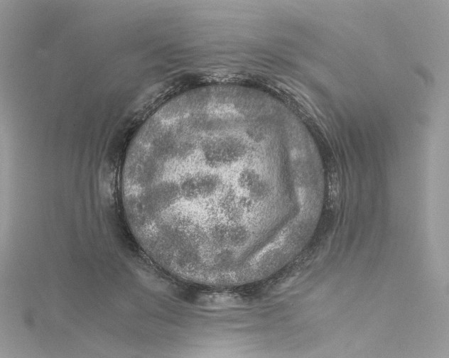 X0000115150503200911171244