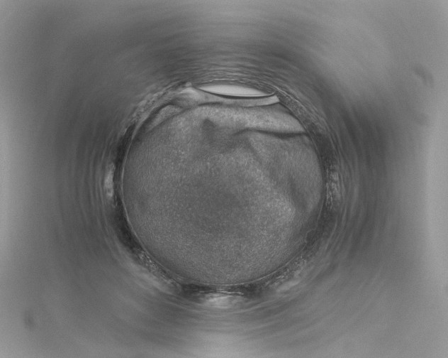 X0000115150504200911171244