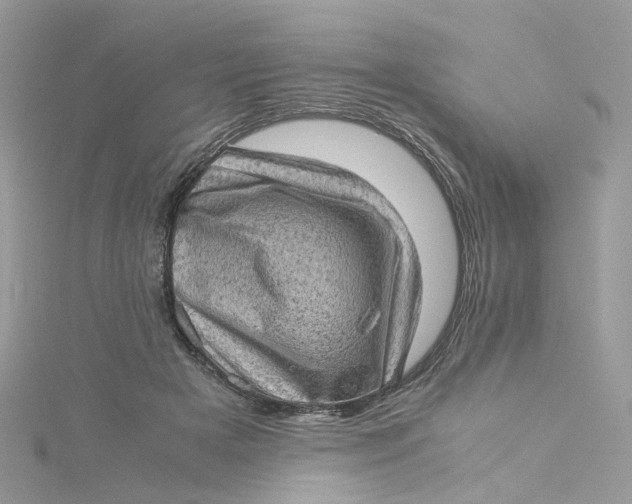 X0000115150505200911171244