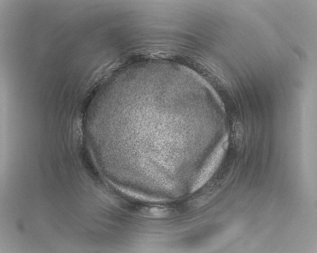 X0000115150506200911171243