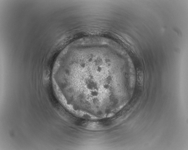 X0000115150507200911171243