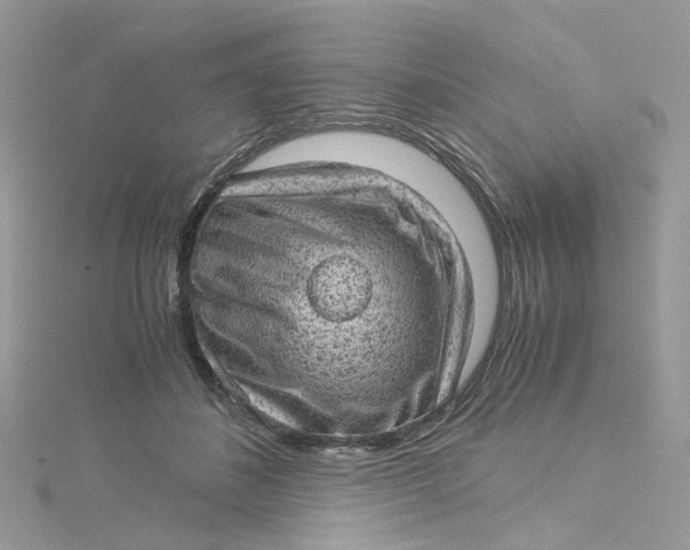 X0000115150508200911171243