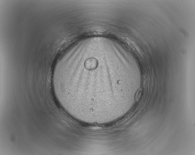 X0000115150509200911171243