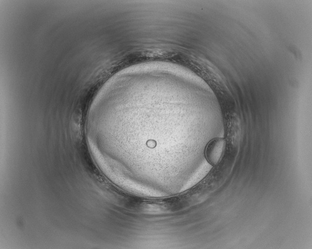 X0000115150510200911171243