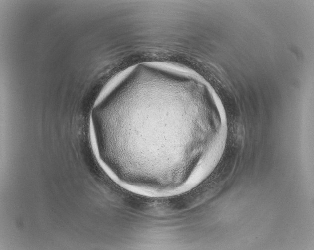 X0000115150511200911171243