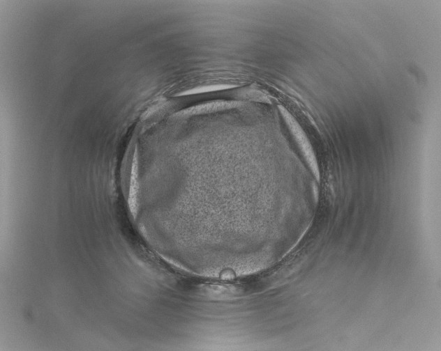 X0000115150512200911171243