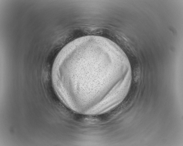 X0000115150515200911171243