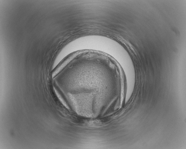 X0000115150517200911171243