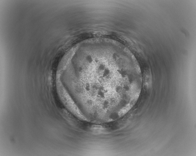 X0000115150519200911171243