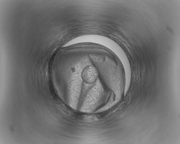 X0000115150520200911171243