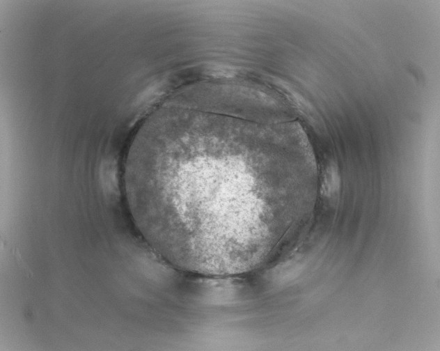 X0000115150524200911171243