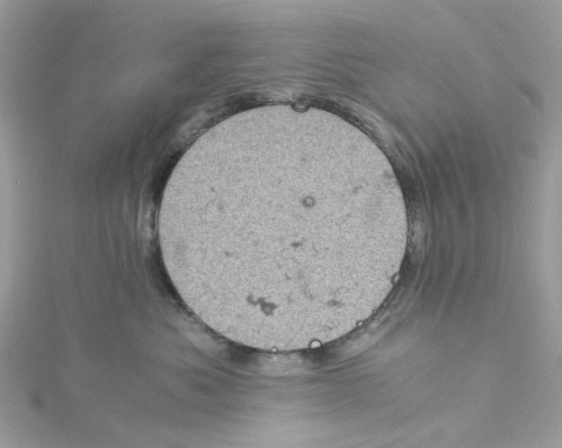 X0000115150525200911171243