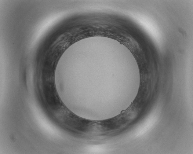 X0000115150526200911171243