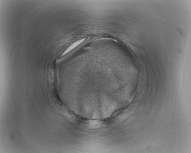 X0000115150528200911171243